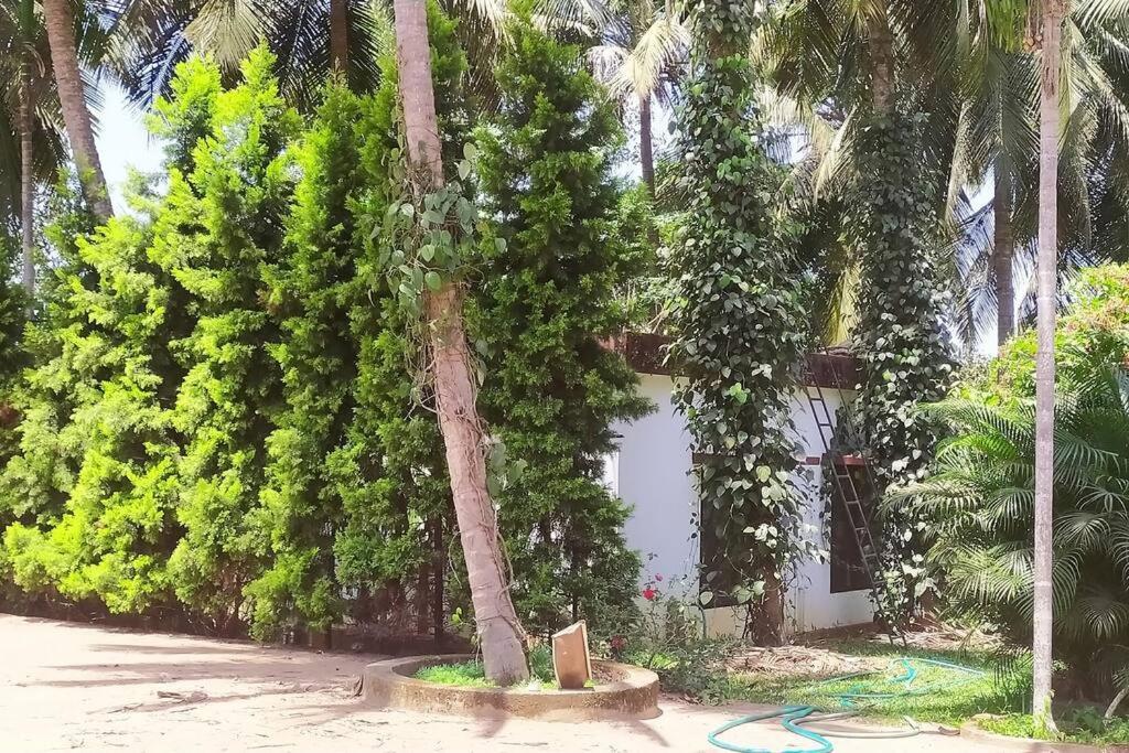 Runnin Airport - Homestay Gurpur 外观 照片